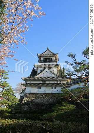 Kochi Castle (Kochi City, Kochi Prefecture) 117440056