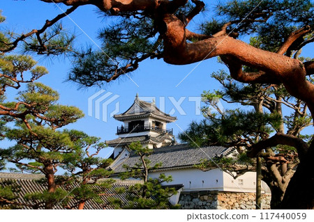 高知城/城堡(高知縣/高知市) 高知城/城堡(高知縣/高知市) 117440059