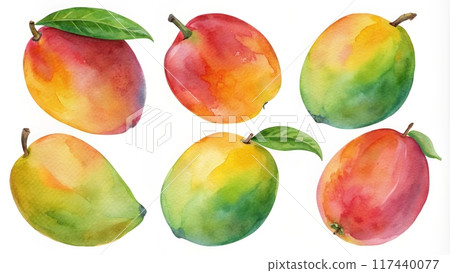 Watercolor collection of papaya with leaf isolated on white background 117440077