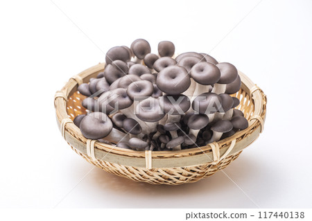 平武姬路，平武姬路，美味的蘑菇，漏勺裡的蘑菇 117440138