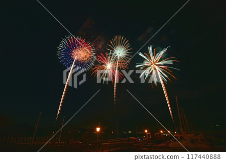 夜空中閃爍的煙火 夜空中閃爍的煙火 117440888