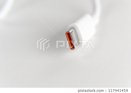 Charging cable for mobile devices with support for fast charging, USB Type-C  117441459