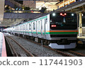 Commuter train Shonan Shinjuku Line E231 series special 117441903