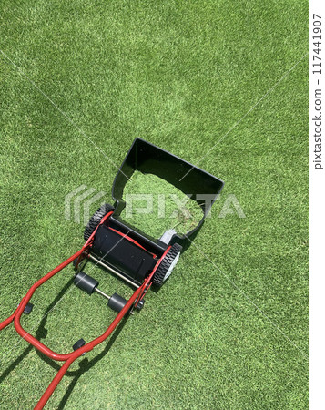 Mowing the lawn in midsummer 117441907