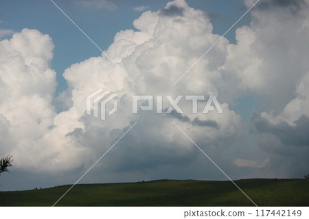 夏日雲彩創造的世界 117442149