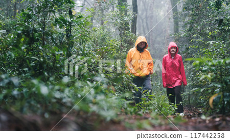 Father and daughter hiking exploring a lush forest 117442258