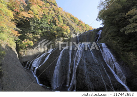 Fukuroda Falls in Ibaraki Prefecture, one of Japan's three most famous waterfalls, surrounded by colorful autumn leaves under a clear autumn sky Fukuroda Falls in Ibaraki Prefecture, one of Japan's three most famous waterfalls, surrounded by colorful autumn leaves under a clear autumn sky 117442698