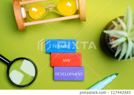 Training and development concept. Improving employees skills, knowledge, and competencies to enhance their performance and support career growth. Inscription on the blocks. Training and development concept. Improving employees skills, knowledge, and competencies to enhance their performance and support career growth. Inscription on the blocks. 117442883