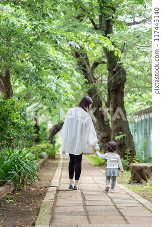 Parents and children walking hand in hand, back view 117443140