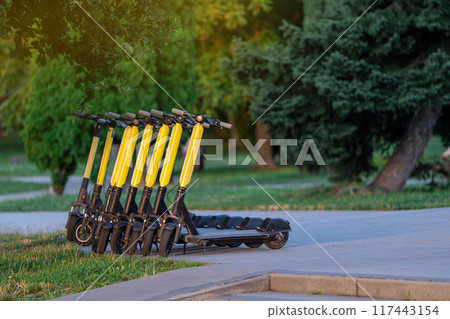Yellow electric scooters are parked in a summer park on a sunny day. Moving around the city. Tourism and travel Yellow electric scooters are parked in a summer park on a sunny day. Moving around the city. Tourism and travel 117443154