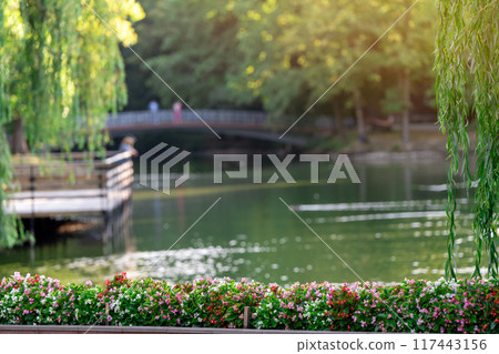 Beautiful view of a summer city park with a lake and bridge. Summertime landscape. Ivano-frankivsk. Focus on the foreground flowers 117443156