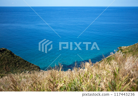 Shakotan Peninsula | The view from the Charenka Path leading to Cape Kamui is a spectacular sight, dyed Shakotan blue. Shakotan Peninsula | The view from the Charenka Path leading to Cape Kamui is a spectacular sight, dyed Shakotan blue. 117443236