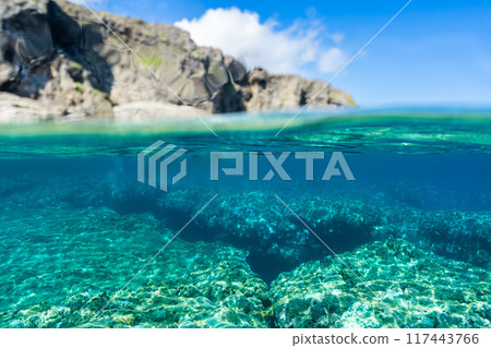 與那國海（半水面） 117443766