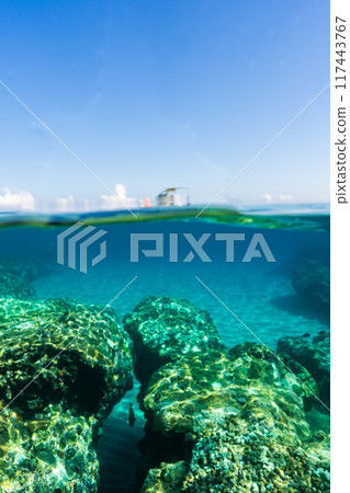 Yonaguni Sea (half water surface) Yonaguni Sea (half water surface) 117443767