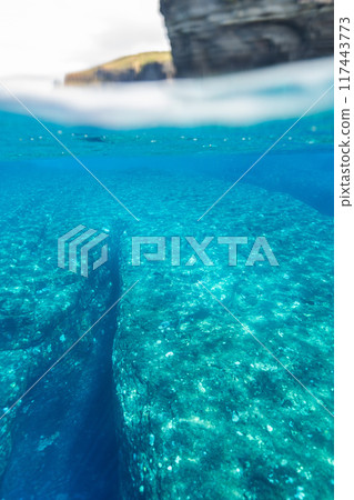 與那國海（半水面） 117443773