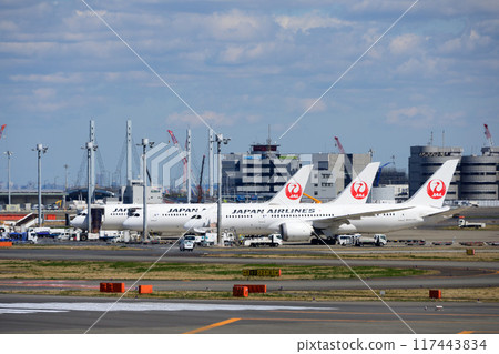 Aircraft parked at Haneda Airport Aircraft parked at Haneda Airport 117443834