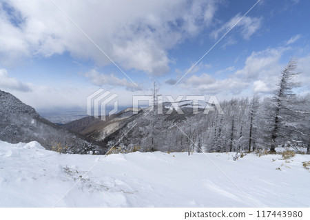 Snow scenery along the coast of Utsukushigahara Park (Prefectural Route 62) 117443980