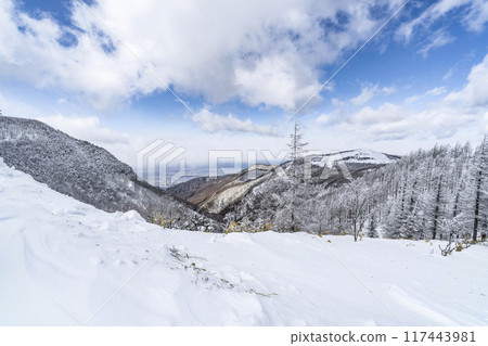 美原公園隱岐線（縣道62號線）沿線的雪景 117443981