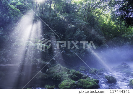 Summer scent of Mototaki waterfall light 117444541