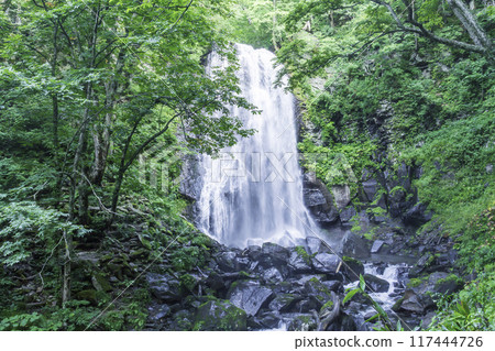 深綠色的小野川不動瀑布 117444726