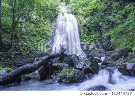深綠色的小野川不動瀑布 深綠色的小野川不動瀑布 117444727