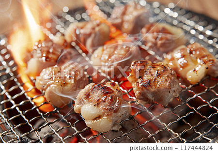 烤激素 烤激素 117444824