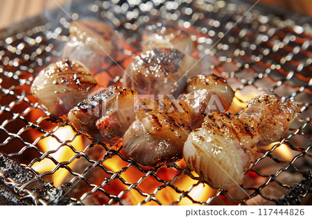 烤激素 烤激素 117444826