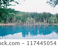 Blue pond 117445054