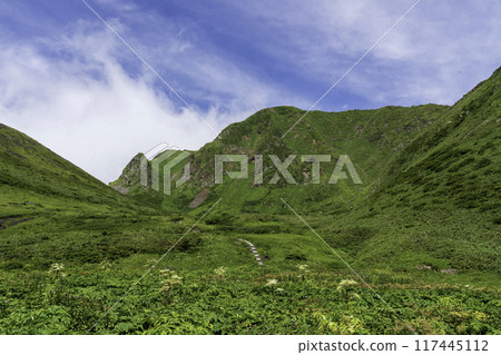 Climbing Mount Akita in summer 117445112