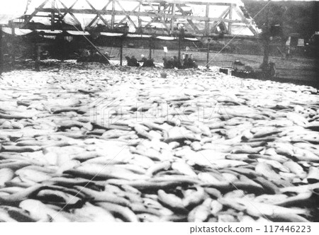 舊俄羅斯堪察加半島 117446223