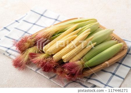 Corn tips, corn shoots, vegetables, baby corn husk 117446271