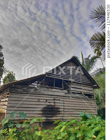 wooden house in the village 117446530