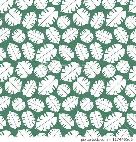 pattern tropical white monstera leaves on green pattern tropical white monstera leaves on green 117446566