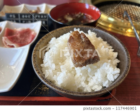Large serving of rice and grilled meat 117446901