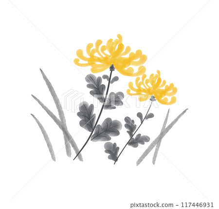 Chrysanthemum ink painting Autumn flower illustration material 117446931