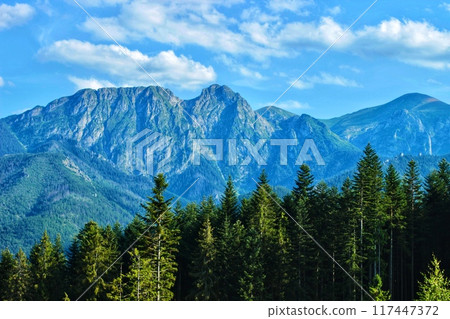 Beautiful nature background with blue big scenic mountains and green forests 117447372