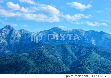 Beautiful nature background with blue big scenic mountains and green forests Beautiful nature background with blue big scenic mountains and green forests 117447375