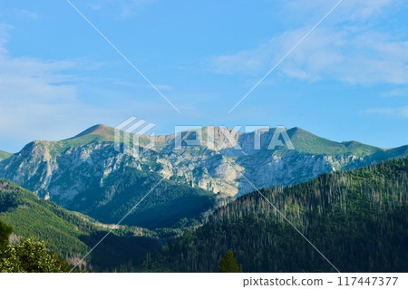 Beautiful nature background with blue big scenic mountains and green forests Beautiful nature background with blue big scenic mountains and green forests 117447377