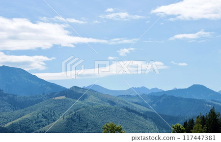 Beautiful nature background with blue big scenic mountains and green forests 117447381
