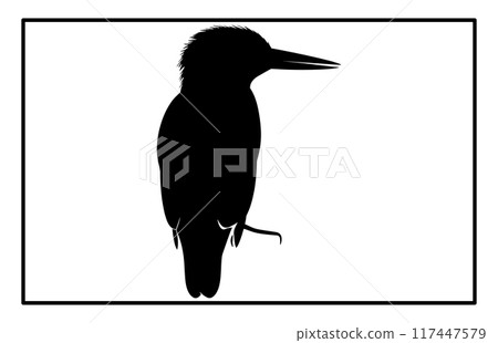 Kingfisher bird silhouette, Kingfisher bird logo illustration 117447579