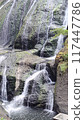 Landscape of a waterfall and mossy rocks 117447786