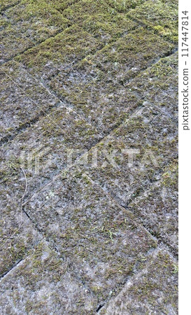 長滿苔蘚的石牆 長滿苔蘚的石牆 117447814