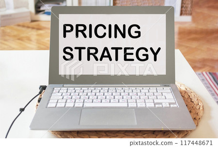 text PRICING STRATEGY as a marketing and business concept on a laptop text PRICING STRATEGY as a marketing and business concept on a laptop 117448671