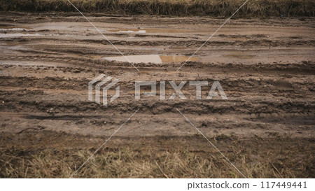Broken country dirt road with a swamp. Broken country dirt road with a swamp. 117449441
