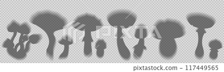 Vector set of transparent shadows of various mushrooms isolated from background. Collection of clipart fly agaric and grebe shadow overlay effect 117449565