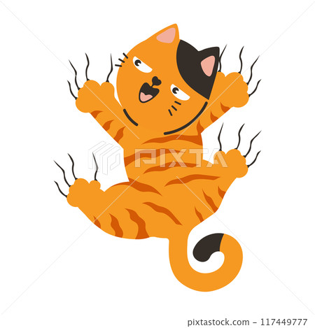 Funny orange cat hanging on the wall 117449777