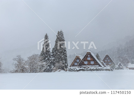 白雪皚皚的冬季世界文化遺產白川村(白川鄉)岐阜縣 白雪皚皚的冬季世界文化遺產白川村(白川鄉)岐阜縣 117450150