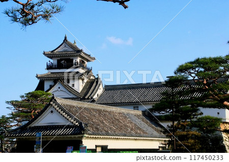 Kochi Castle (Kochi City, Kochi Prefecture) 117450233