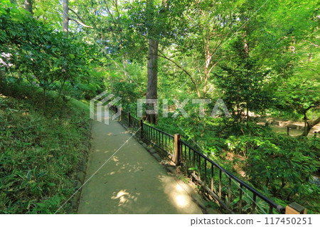 東京都港區有棲川紀念公園 117450251