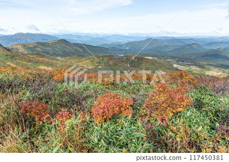 宮城縣栗子山秋葉攀登 117450381